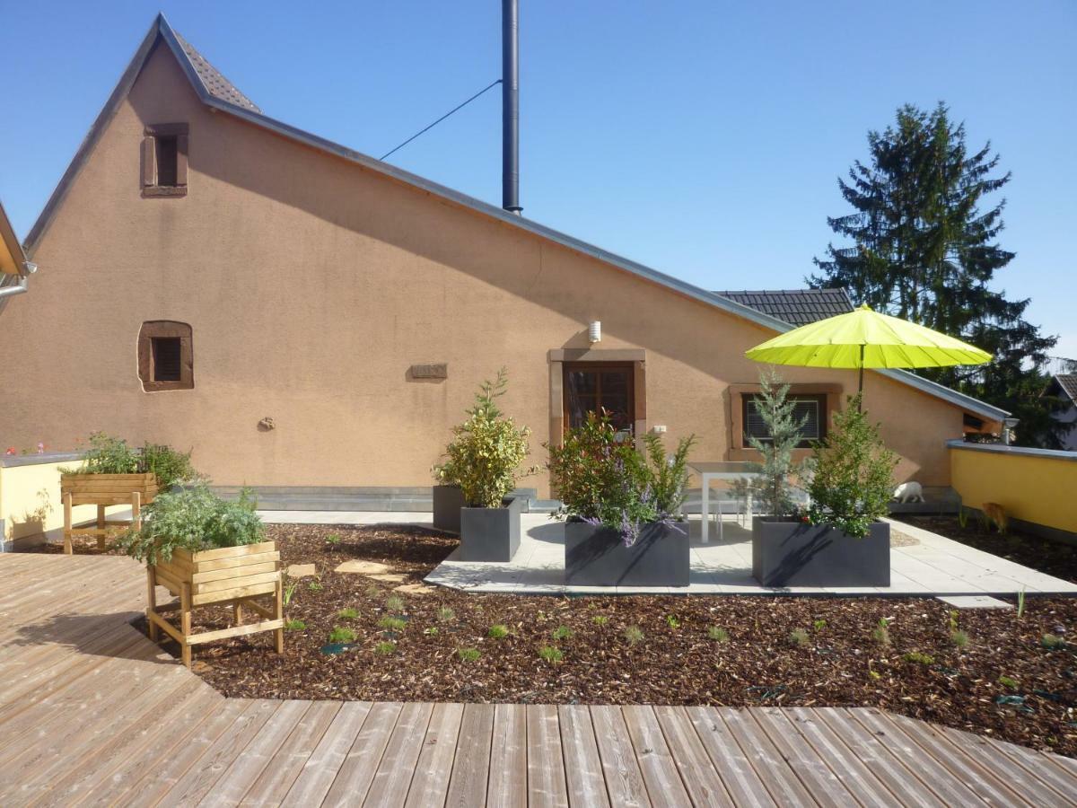 Apartamento La Tete Au Soleil Soultzmatt Exterior foto